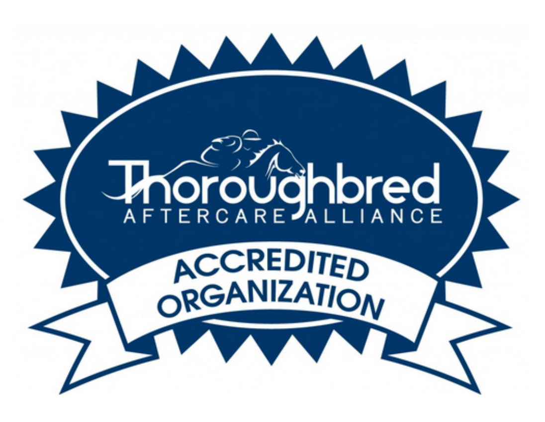 TAA accredited organization logo